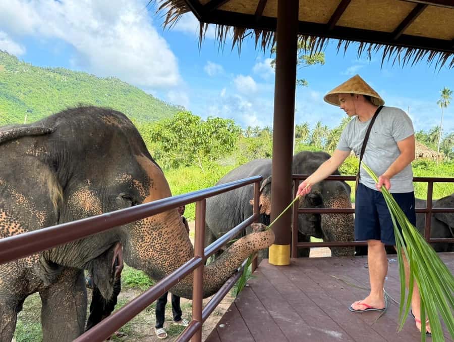 Samui:Elephant Jungle experience & The First Elephant Museum - Who should choose Samui Elephant Home?