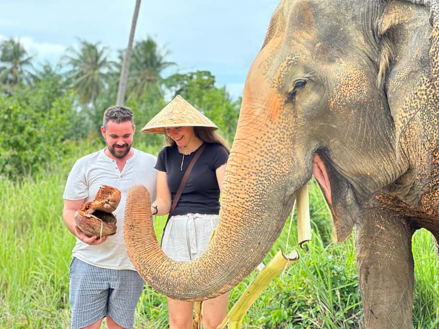 Samui:Elephant Jungle experience & The First Elephant Museum - The visit begins with Thai elephant culture