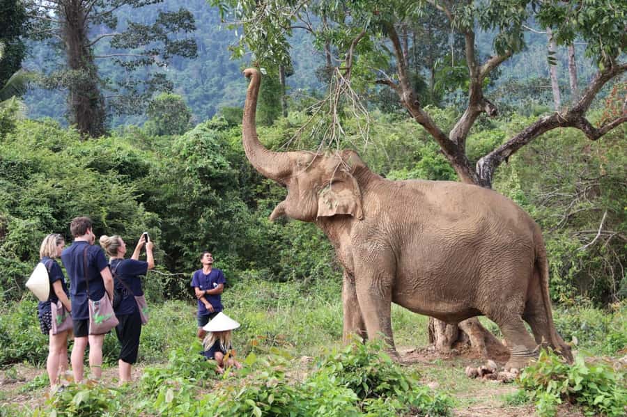 Samui:Elephant Jungle experience & The First Elephant Museum - Making seed bombs with a slingshot