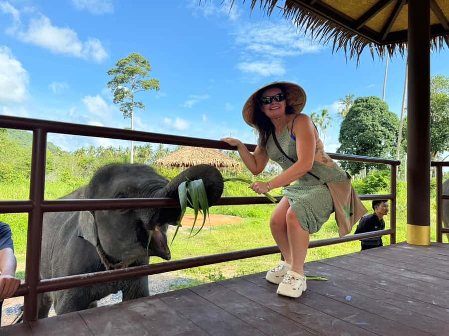 Samui:Elephant Jungle experience & The First Elephant Museum - Is $64 good value for three hours?