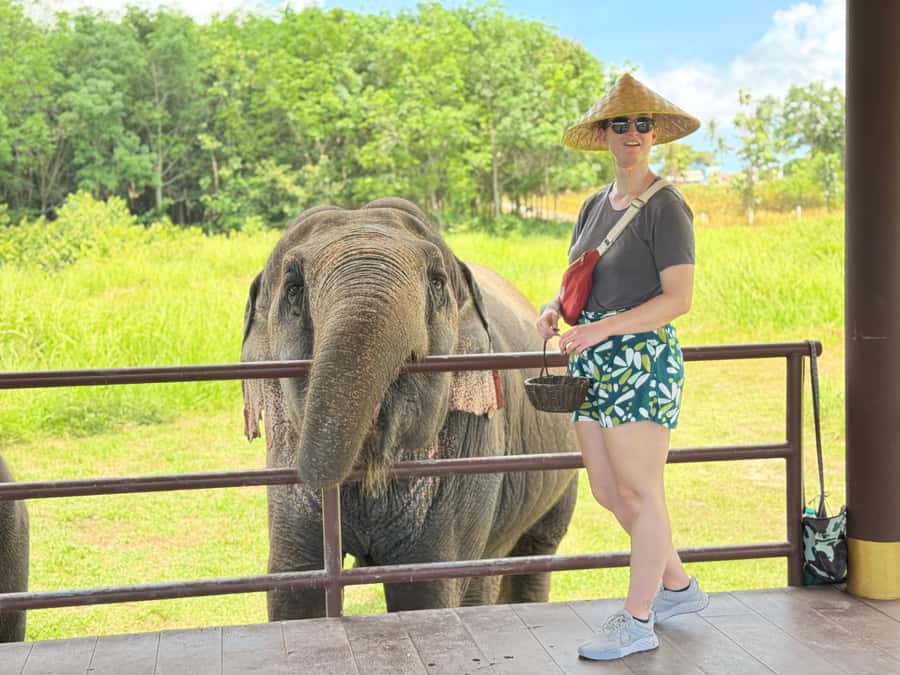 Samui:Elephant Jungle experience & The First Elephant Museum - Practical advice for a comfortable visit