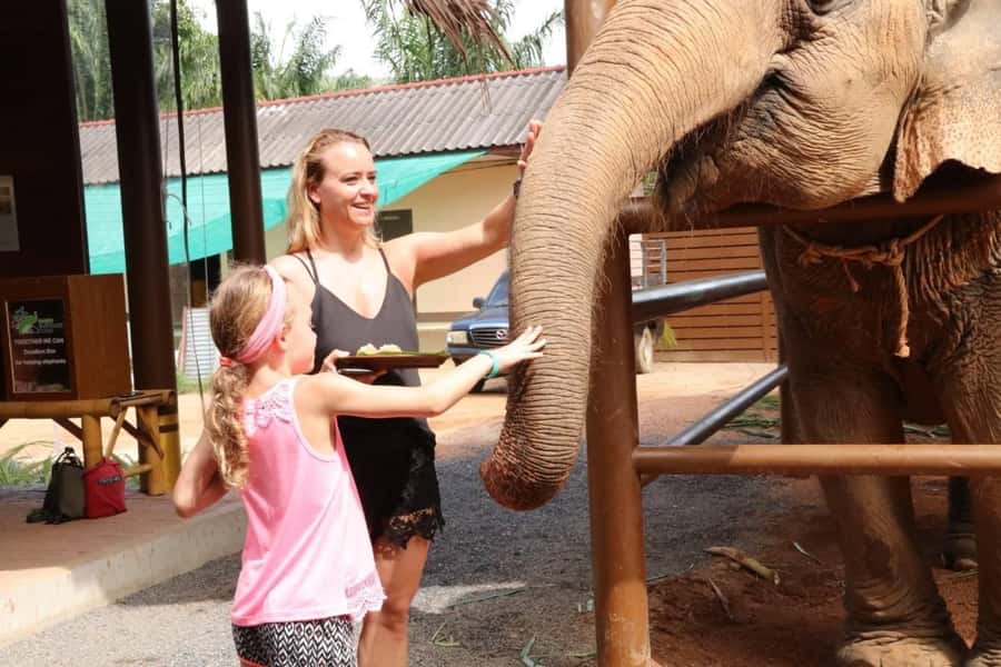 Samui: Elephant Nutrition and Care Education Experience - Practical tips for a smoother visit