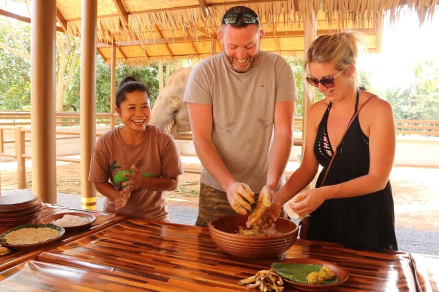 Samui: Elephant Nutrition and Care Education Experience - Hotel pickup makes a short morning easier