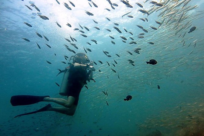 Scuba Diving Day Trip at Koh Chang – 2 Dives - Key points to know before booking
