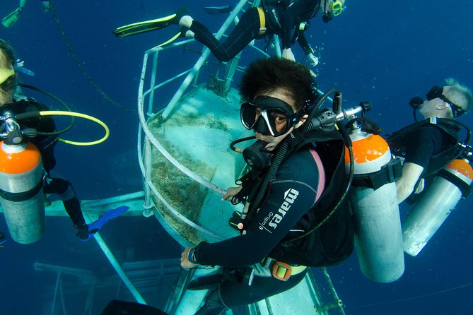 Scuba Diving Day Trip at Koh Chang – 2 Dives - Choosing between the HTMS Chang wreck and Koh Rang