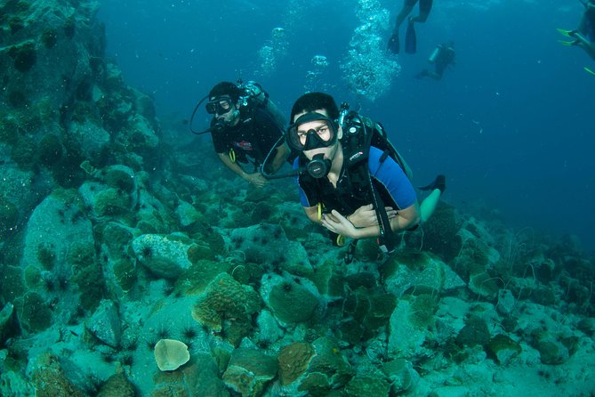 Scuba Diving Day Trip at Koh Chang – 2 Dives - What the 8-hour day looks like
