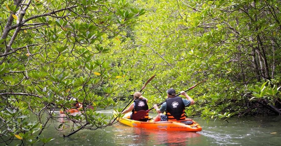 Sea Kayaking in Ao Thalane & Optional Full-Day Hong Island - Who should book the Ao Thalane trip