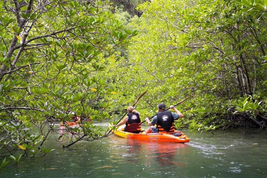Sea Kayaking in Ao Thalane & Optional Full-Day Hong Island - Hotel pickup and the small-group setup