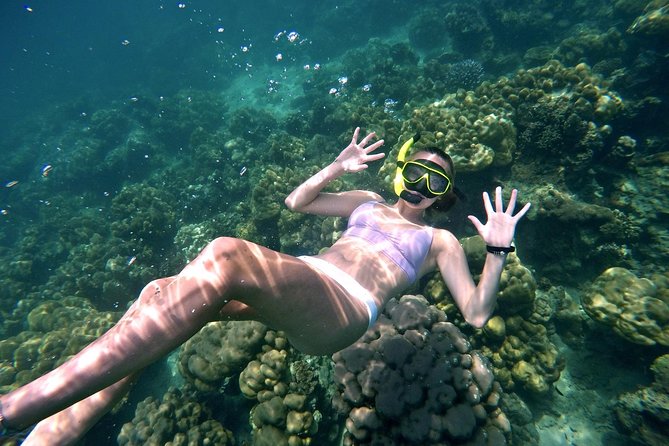 Small Groups of 20 people - Phi Phi & Bamboo Islands with Lunch - The fast ride to Bamboo Island