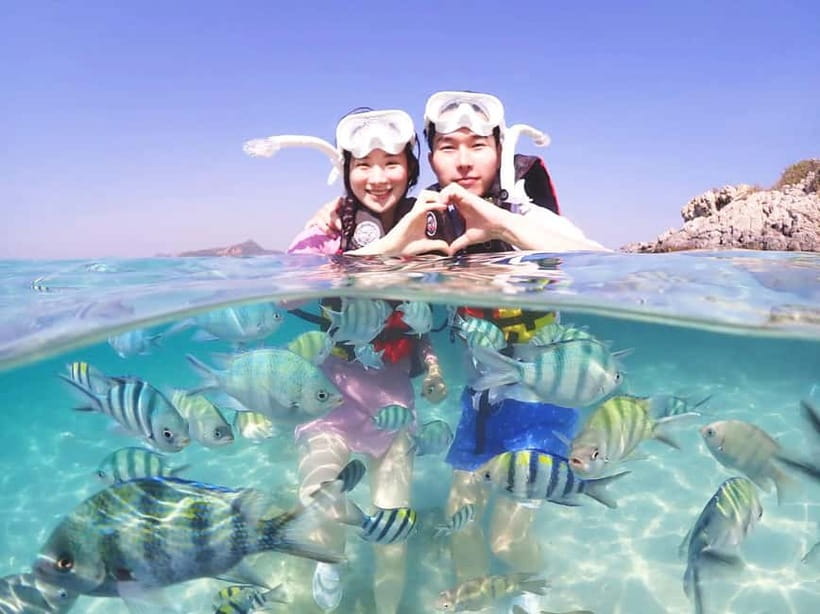 Snorkel & Chill: Nemo Island Trip from Pattaya - Why this Pattaya snorkel trip works