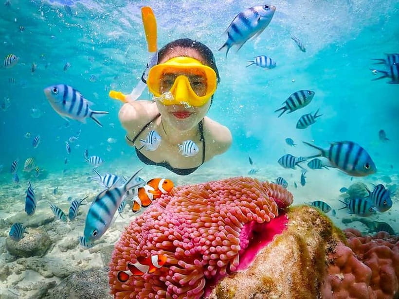 Snorkel & Chill: Nemo Island Trip from Pattaya - Three hours around Koh Chuang and Koh Jan
