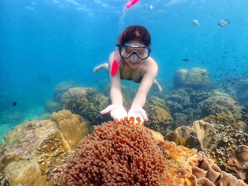 Snorkel & Chill: Nemo Island Trip from Pattaya - Underwater photos are the standout extra