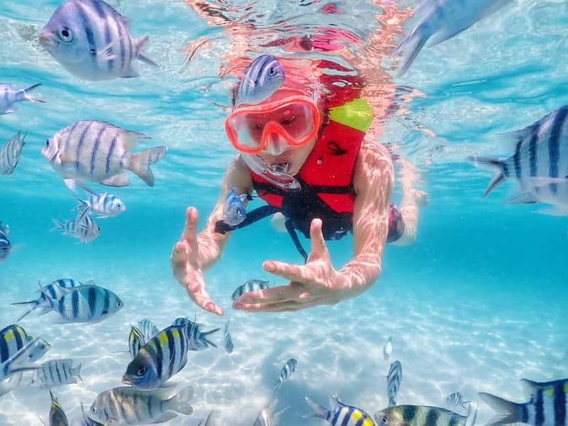 Snorkel & Chill: Nemo Island Trip from Pattaya - Safety equipment and comfort in the water