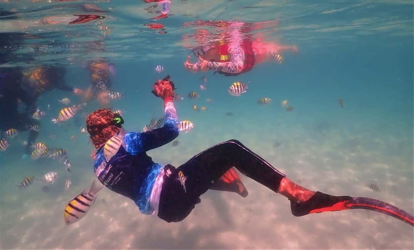 Snorkel & Chill: Nemo Island Trip from Pattaya - Who should book it
