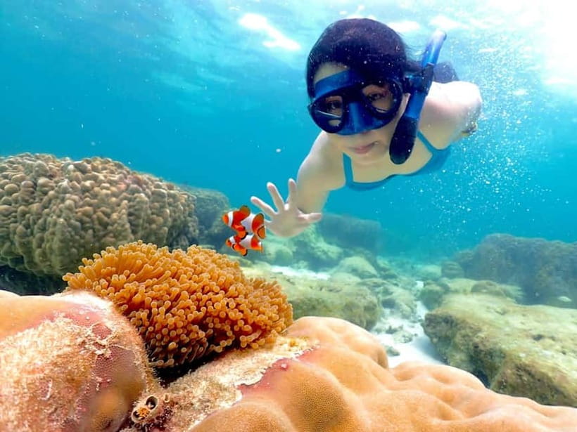 Snorkel & Chill: Nemo Island Trip from Pattaya - Hotel pickup from Pattaya City