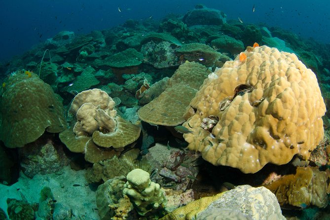 Snorkeling Adventure at Koh Chang – Departing from Koh Chang - Koh Rang National Marine Park and the HTMS Chang wreck
