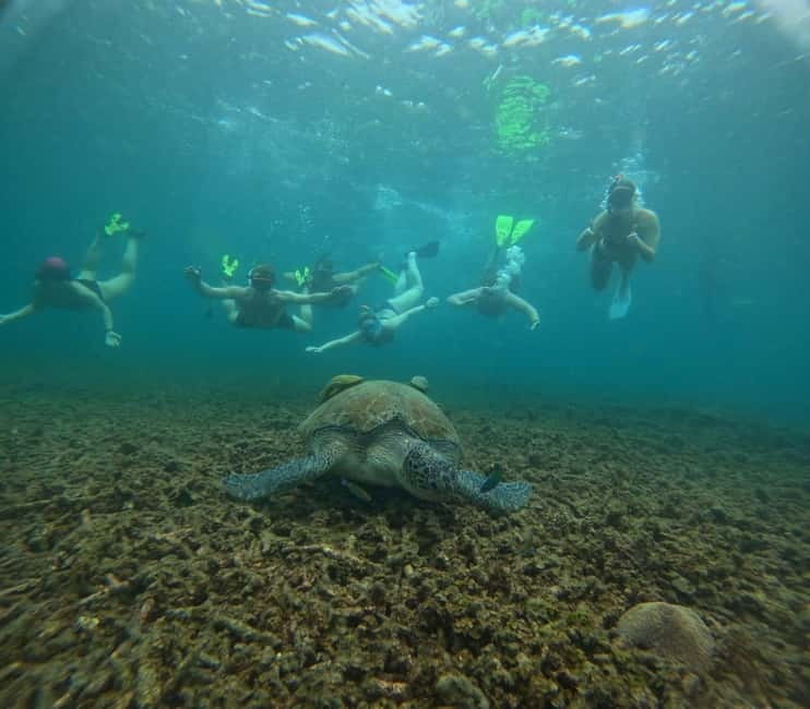 Snorkeling Tour with meals and BBQs - Cocktail - Sunset⭐⭐⭐⭐⭐ - Pickup from Koh Tao and the first hours at sea
