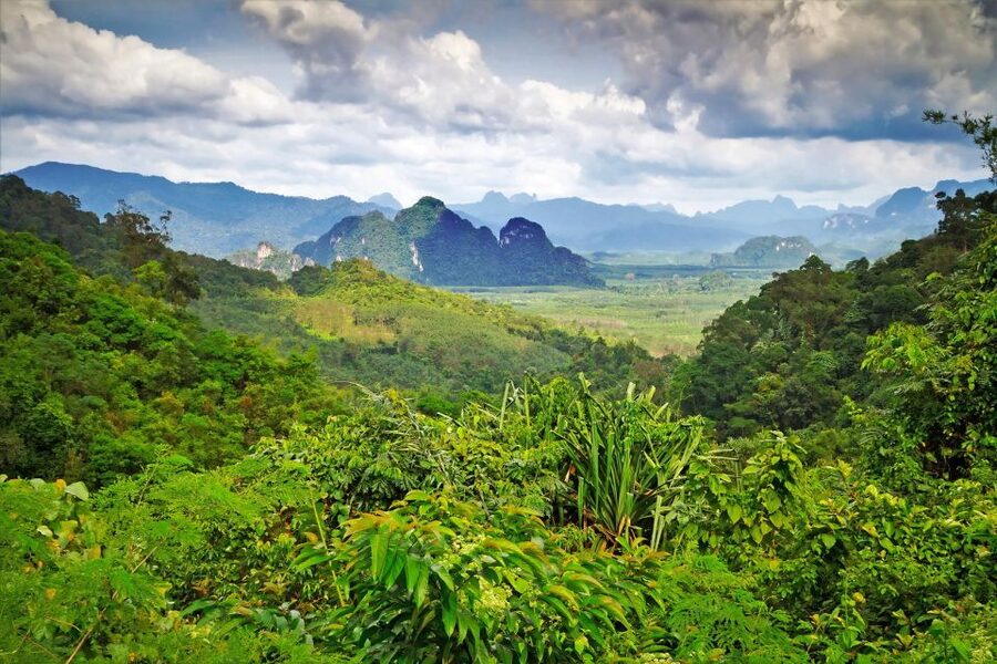 Sok River: Bamboo Raft Ride, Monkey Temple & View Point Tour - How much value do you get for $61?