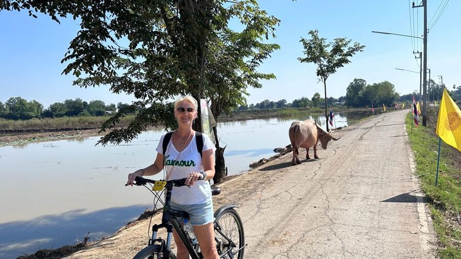 Sukhothai: Half-Day Countryside Bike Tour - Key points at a glance