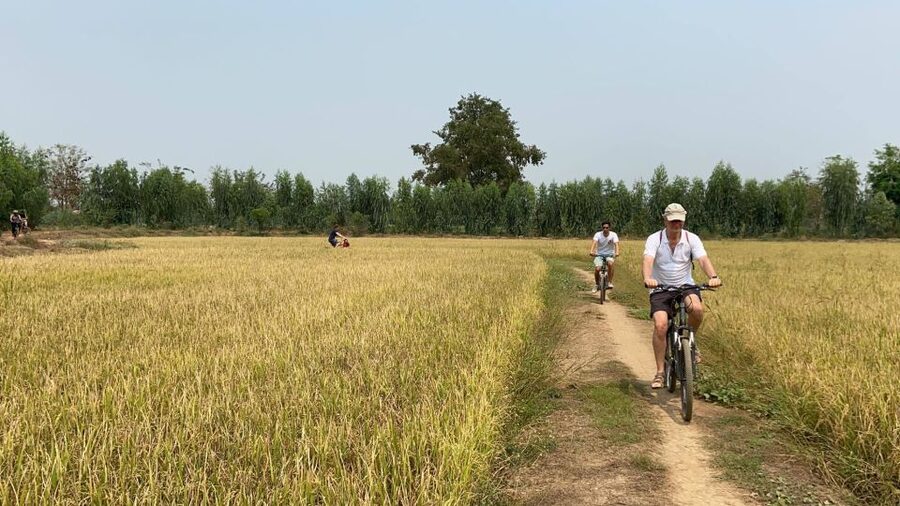 Sukhothai: Half-Day Countryside Bike Tour - Who should book this countryside bike tour