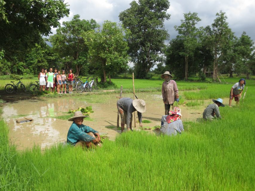 Sukhothai: Half-Day Countryside Bike Tour - Ten kilometers on dirt roads and through rice fields