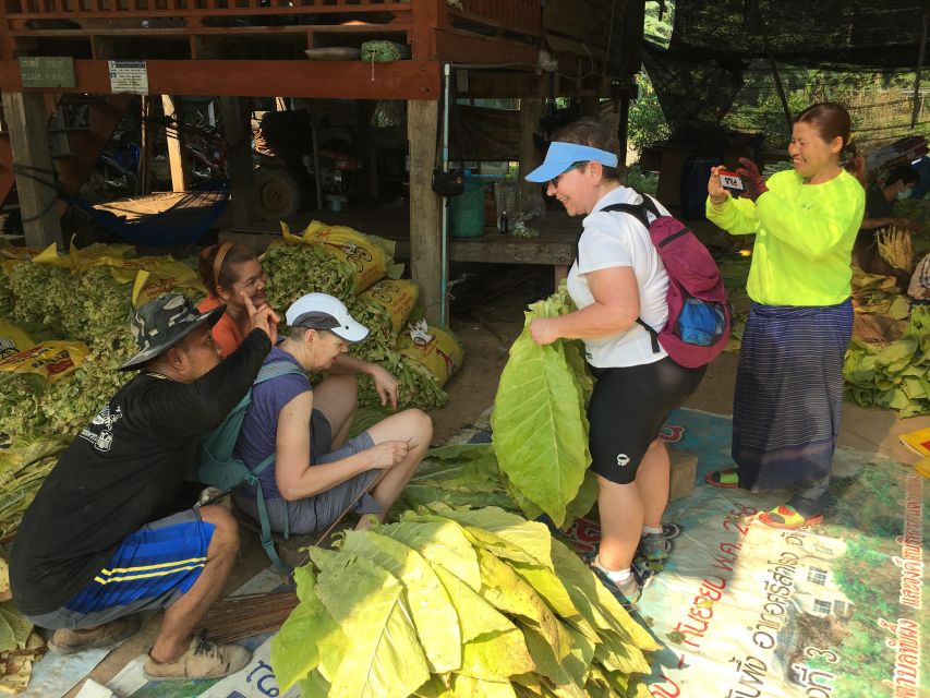 Sukhothai: Half-Day Countryside Bike Tour - Heat, fitness, and practical planning