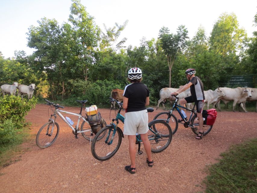 Sukhothai: Historical Park & Countryside Cycling Tour - Ban Khuai and the rice fields