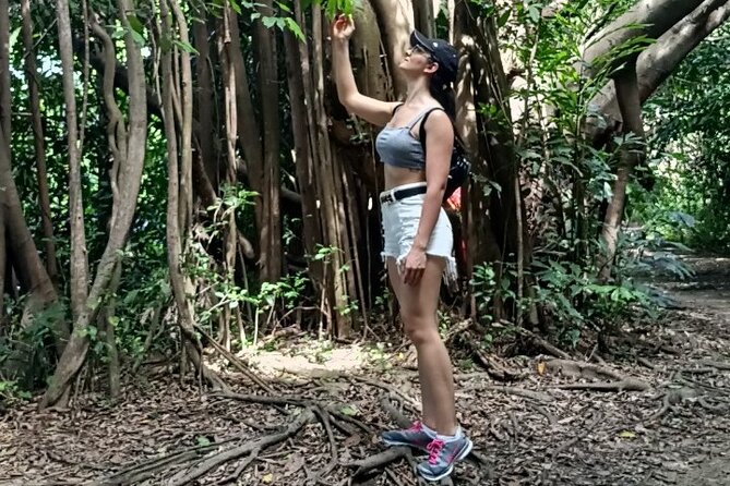 The Original Bicycle Tour in the Green Jungle of Bangkok - Picking up a bicycle and choosing your route