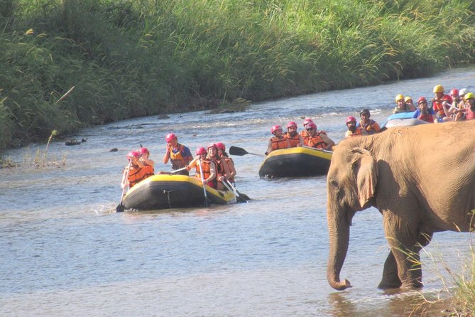 Top Pick - Full or Half Day @Elephant in Wild Sanctuary ChiangMai - What to pack for the three activities