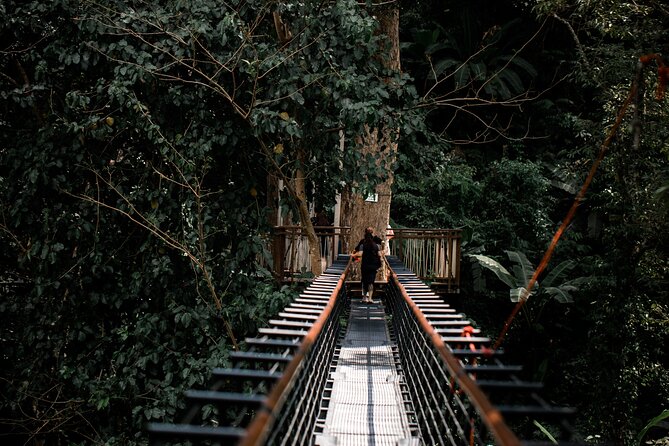 World B+ (Zipline 18 Platforms + Roller + Sky Walk with World Set Menu ) - Sky bridges and the quieter side of Hanuman World